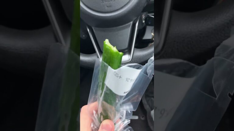 冷やしきゅうりの一本漬け！