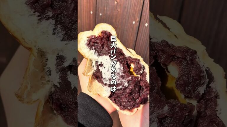 【香川グルメ】自称日本一デカいあんぱんとクリームパン!!