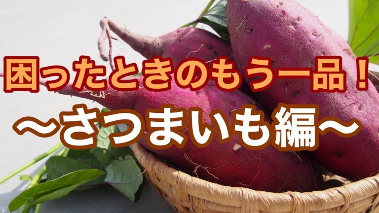 困ったときのもう一品！！〜さつまいも編〜