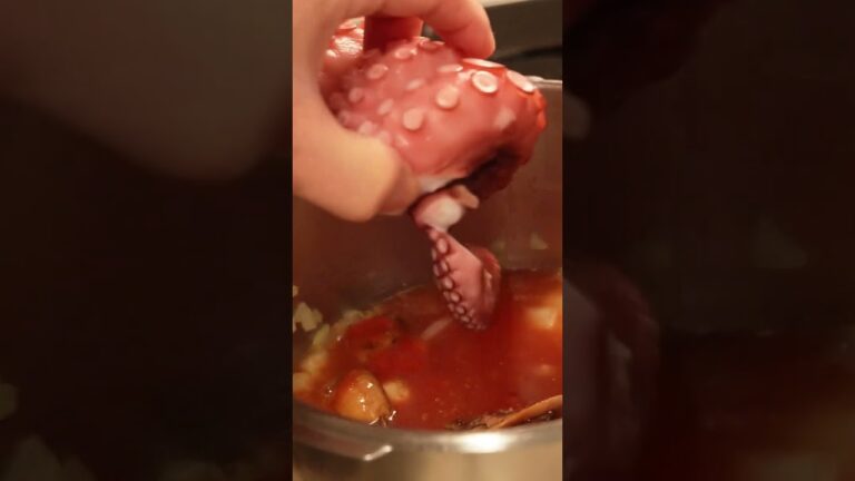 タコのトマト煮