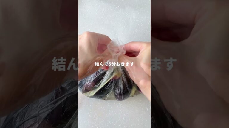 【茄子そうめん】旨味じゅわ、薬味たっぷり