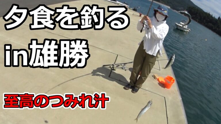【海中撮影】夕食を釣りに雄勝へ！釣れなきゃ夕食抜き。至高のイワシのつみれ汁に挑戦。鉄火丼食べてきました【マグロ：伝八寿し 】