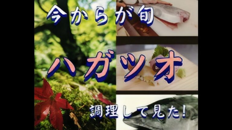 ハガツオ！！職人が刺身と握り寿司に仕上げていきます！！まだ最高なハガツオではありませんが、お味はどーでしょう？？