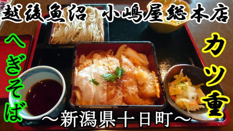 【小嶋屋総本店】かつ重膳～新潟県十日町～かつ丼が美味い蕎麦屋さん【飯テロ】【かつ丼】Katsudon Japanese food