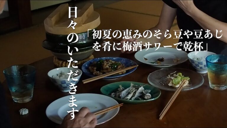 【日々のいただきます】初夏の恵みの豆あじやそら豆など自家製梅酒サワーに合わせる簡単おつまみ４種