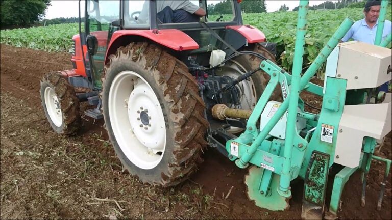 2016　サラダごぼう収穫