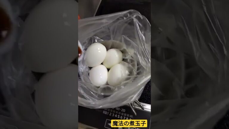 魔法の煮玉子 【うまいたれ】