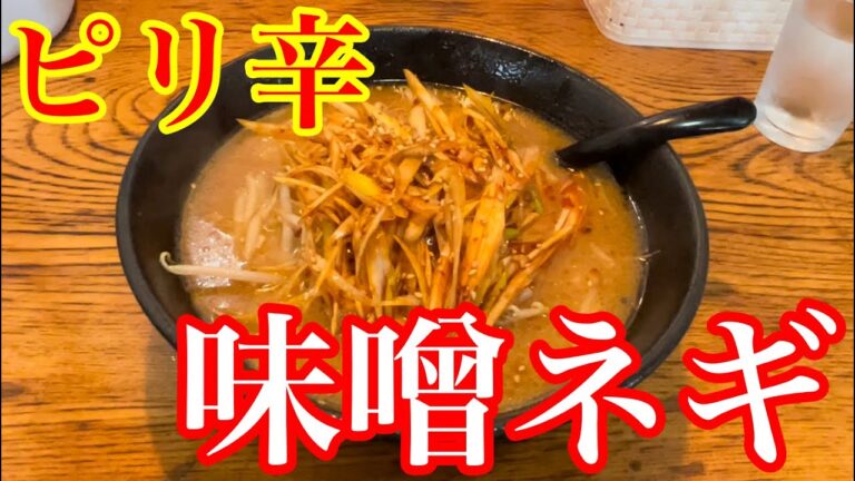 【ピリ辛】ネギたっぷり濃厚味噌ラーメン　ふみのや