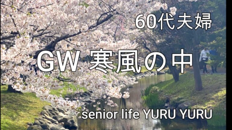 【シニアライフ】連休は冬に後戻り、みぞれが降りそう、焼きビーフン、