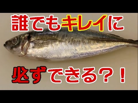 見たらやってみたくなるアジの捌き方 with English subtitle