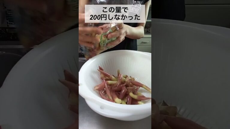 料理のできないアラフォー独身女が『無限みょうが』作ってみた。#Shorts#収入0円生活