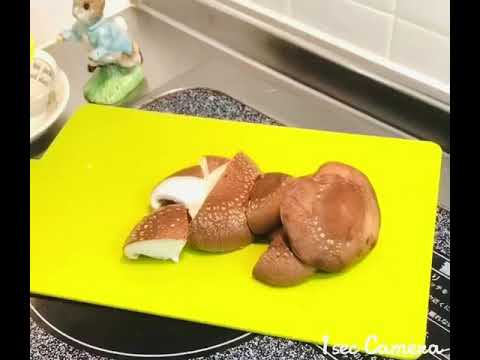 酒粕と豆乳のクリームシチュー