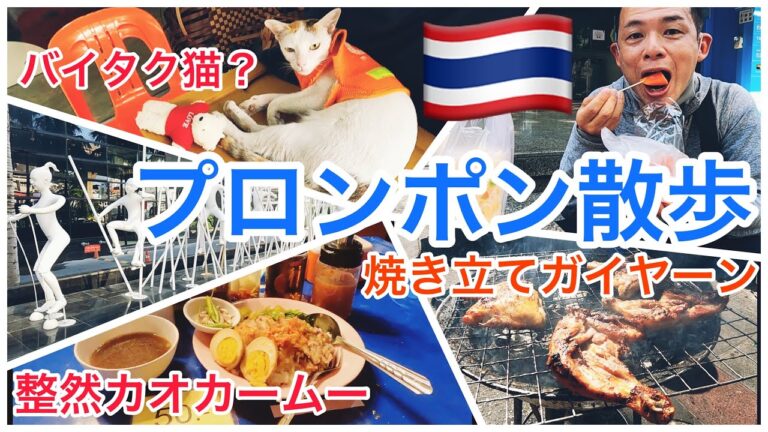タイ旅🇹🇭プロンポン散歩★焼き立てガイヤーン屋台！整然カオカームーをクラシカル店内で✨竹馬アート＆バイタク猫