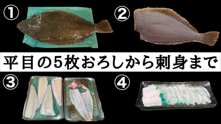 【築地】の魚屋が【ヒラメ】を５枚おろしにして【刺身】にするTsukiji fish store makes flatfish sashimi