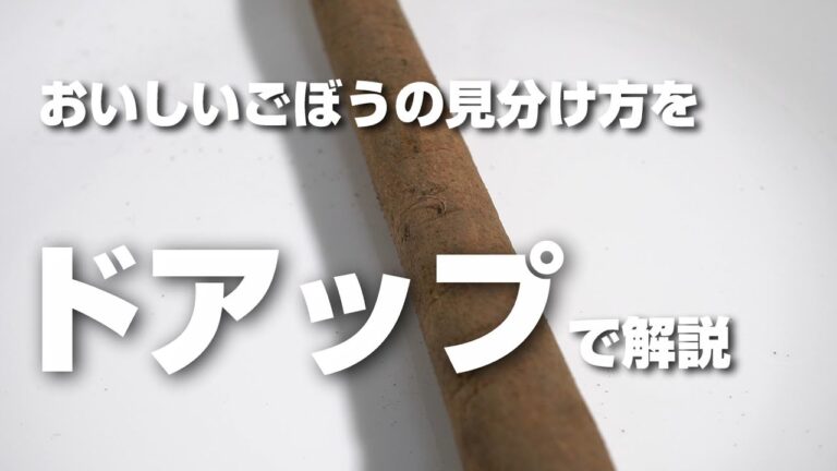おいしいごぼうの見分け方をドアップで解説