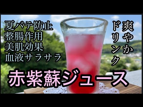 【簡単赤しそジュース】赤紫蘇シロップの作り方　夏バテ防止　疲労回復