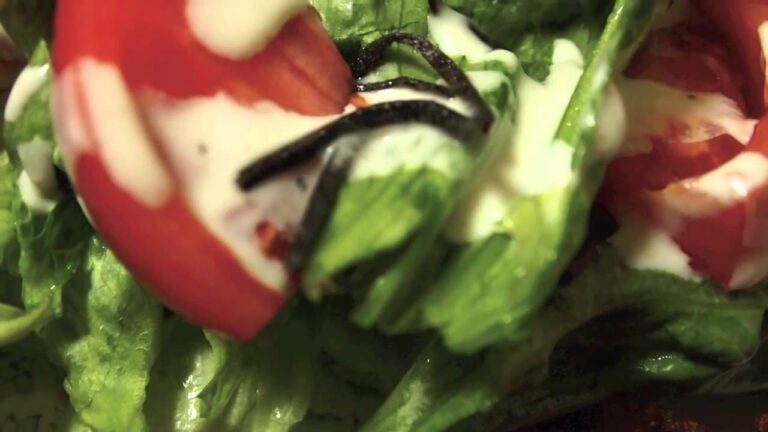 トマトとレタスのサラダ塩昆布仕上げ