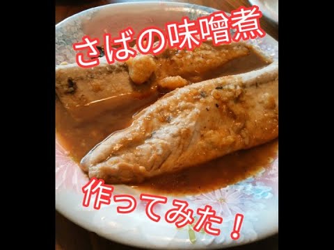 サバの味噌煮　Boiled mackerel in miso