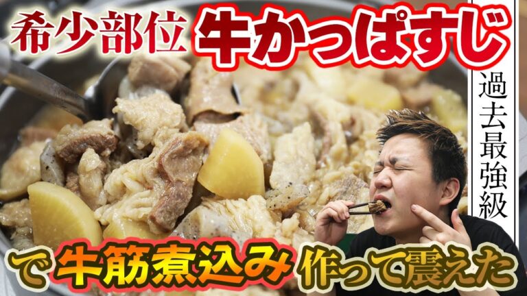 【牛すじ★87点】出回りにくいレアな牛すじ"カッパスジ”が旨すぎるっ！【お取り寄せ】【阿波牛の藤原】