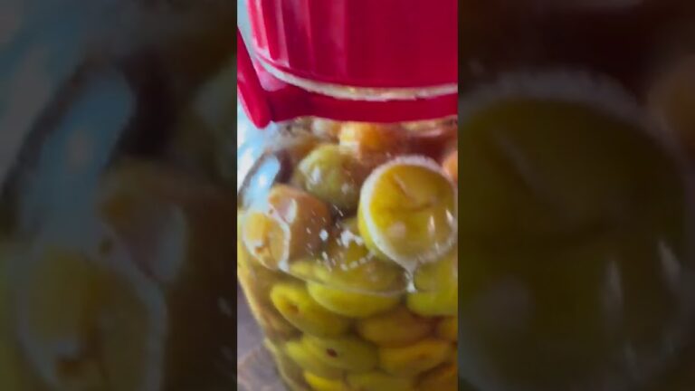 梅シロップ作り失敗！発酵してしまいました…。