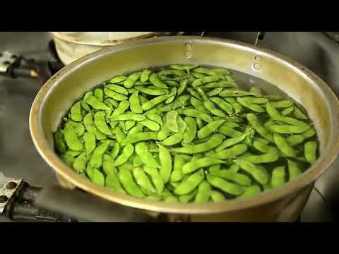枝豆王国新潟のプロが教える茹で方が最高に旨そう！！【枝豆】