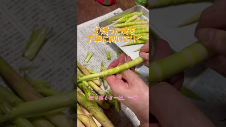 【おばあちゃんの知恵袋】簡単！細竹の剥き方！ #細竹 #山形  #shorts