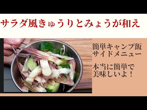 簡単キャンプ飯　サラダ風きゅうりとみょうが和え