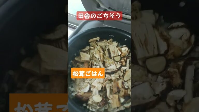田舎のごちそう！野菜の天ぷら&松茸ごはん