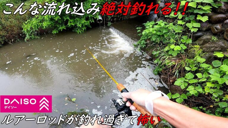 この流れ込みにミミズを落とすだけで何匹も釣れる！！DAISOのルアーロッドが釣れ過ぎて怖い
