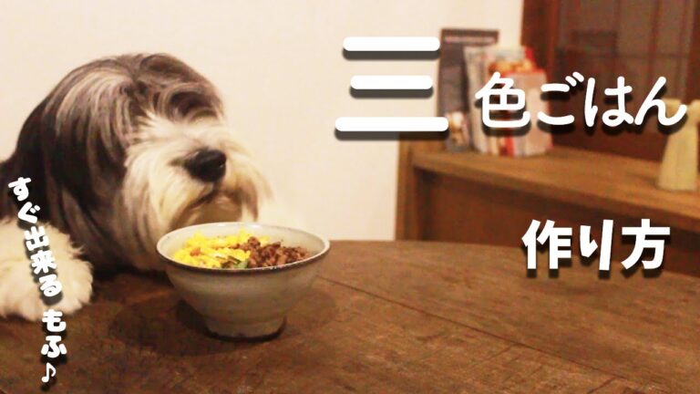 犬ご飯手作りレシピ｜牛肉と卵と大葉の三色ごはんの作り方を解説【もふ飯】