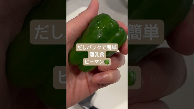だしパックで簡単離乳食ピーマン編