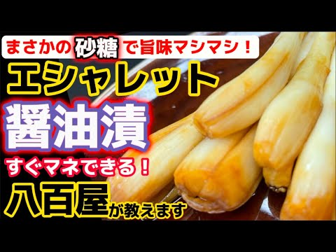 砂糖が効く！食べたらワカル【エシャレット醤油漬け】八百屋が教える若芽付らっきょう漬物レシピ‼エシャロットは別の野菜？簡単漬け方・方法！漬け物・食べ方アレンジ・下処理・下ごしらえ・作り方解説！栄養抜群！