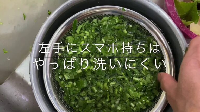 カブの葉っぱの即席漬けで菜飯(なめし)