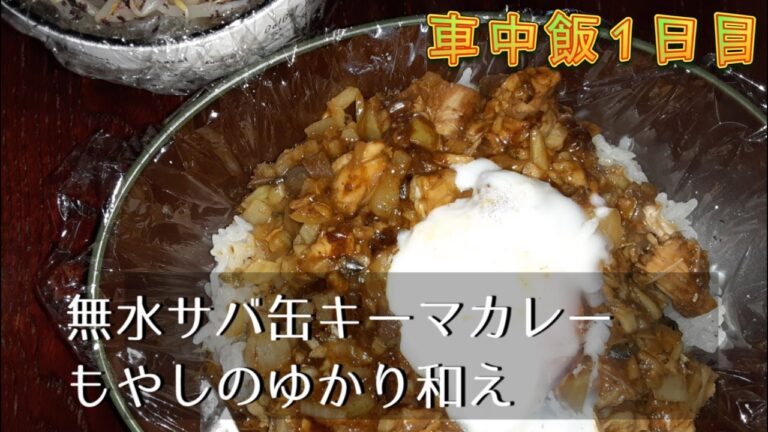 【車中飯1日目】無水サバ缶キーマカレー、もやしのゆかり和え