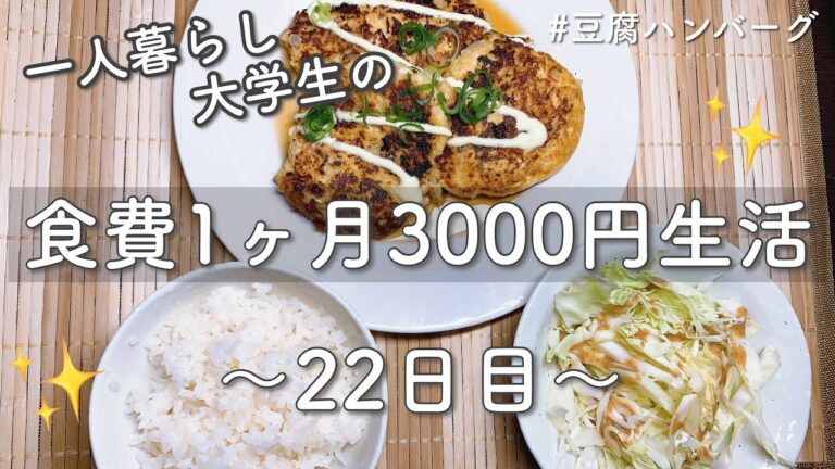 食費1ヶ月3000円生活㉒【一人暮らし/肉なし豆腐ハンバーグ】