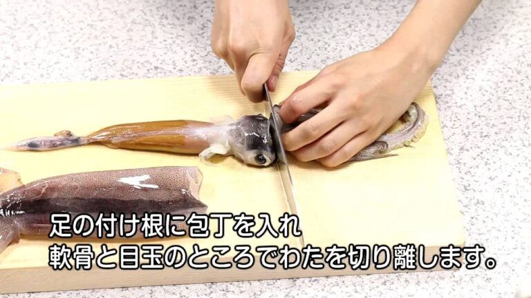 今さら聞けない料理の基本「スルメイカのさばき方」