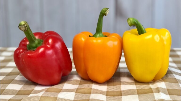 パプリカ〈野菜の食べ方＆調理方法〉by食育マルシェおうち便