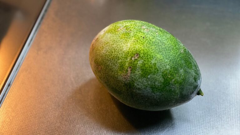 【開封動画】冬瓜 ヒメトウガン