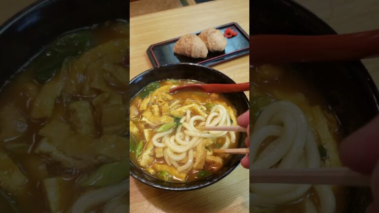 京都 美味しいカレーうどん 石清
