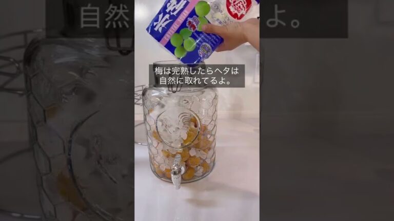 季節外れの梅の愉しみ　#梅仕事 #梅シロップ #冷凍ストック #梅ジュース #梅酒