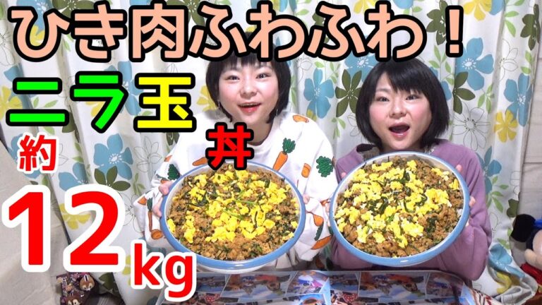 【大食い】10分で出来る！ひき肉ふわふわニラ玉丼！【双子】