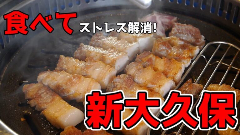 【新大久保】熟成肉専門店 ヨプの王豚塩焼とソウルティラミス☆サムギョプサル☆ジャガイモチーズチヂミ☆とびっこおにぎり☆オレオティラミス