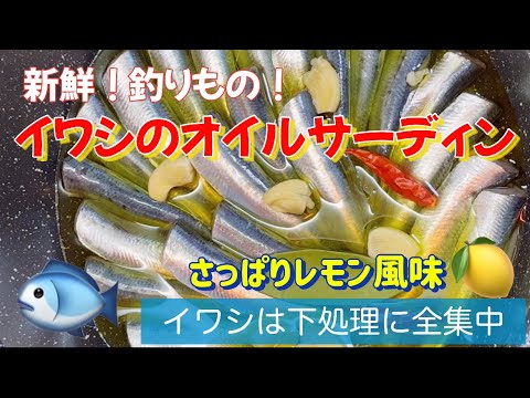 イワシのオイルサーディン！新鮮な釣り物の下処理のやり方！