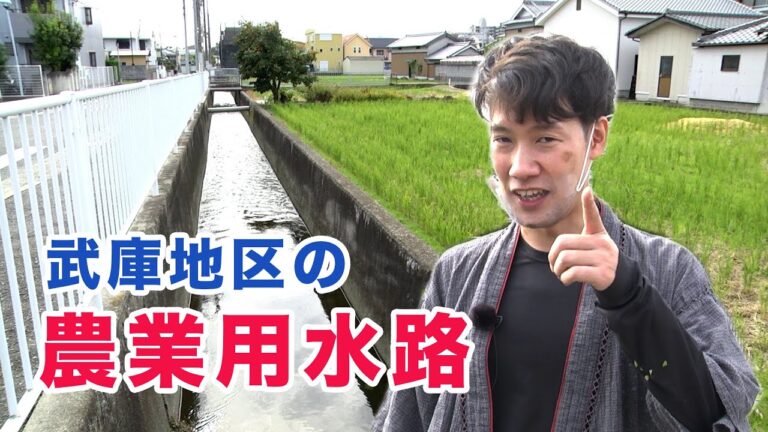 武庫地区の農業用水路巡ってみた【武庫キャンパスオンライン講座】