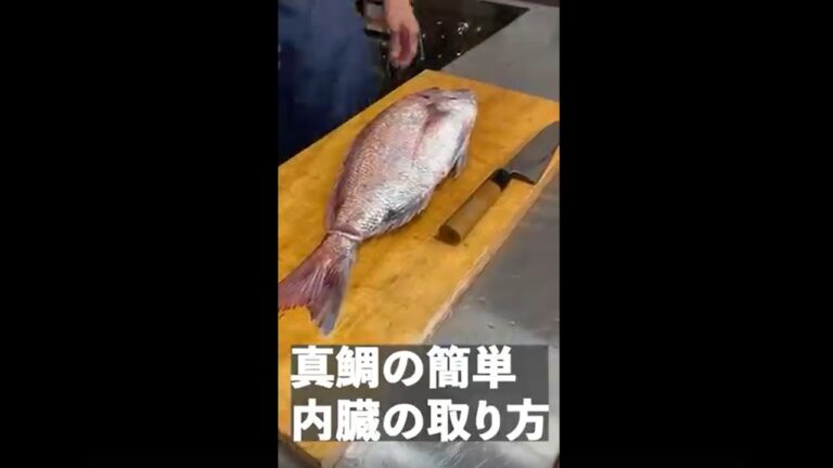 簡単！ 真鯛の内臓の取り方 #short