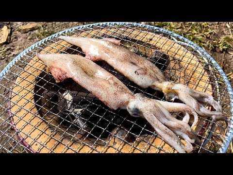七輪でヤリイカを炭火焼きしたらうますぎた