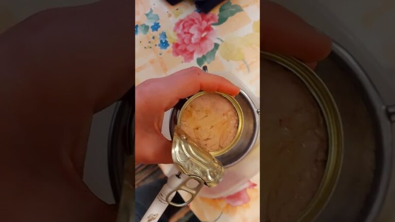tutorialbrutto di un panino col tonno