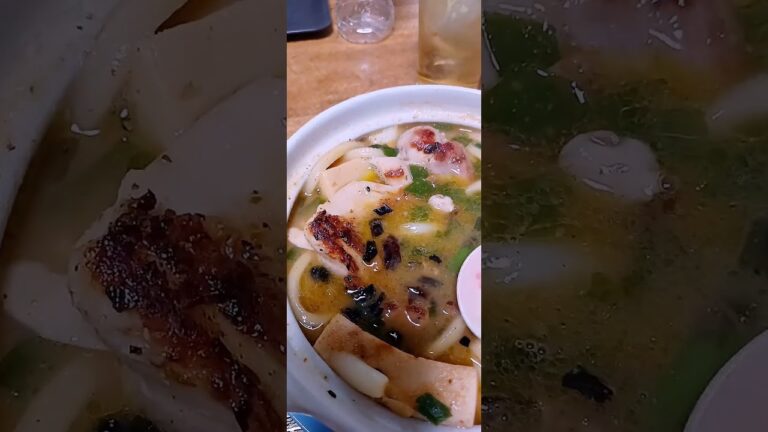 鯉のぼり好き平成生まれの晩御飯　鶏ねぎ味噌煮込みうどん #チャンネル登録1000人目指しています #飯テロ