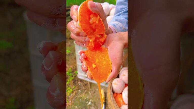 この果物は一度食べたらまた食べたくなるでしょう