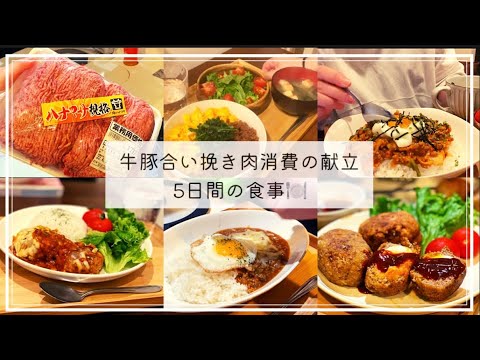 彼氏が喜ぶ牛豚合い挽き肉で5日間の自炊記録🐮🐷#同棲飯#スコッチエッグ#煮込みハンバーグ#カレー#そぼろ丼#豚キムチ